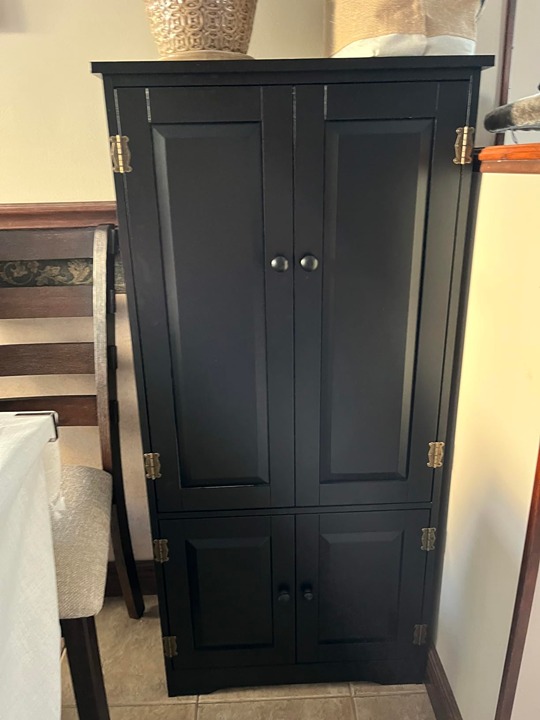 Storage Cabinet Adjustable Shelves Antique 2 Door Floor Cabinet Black