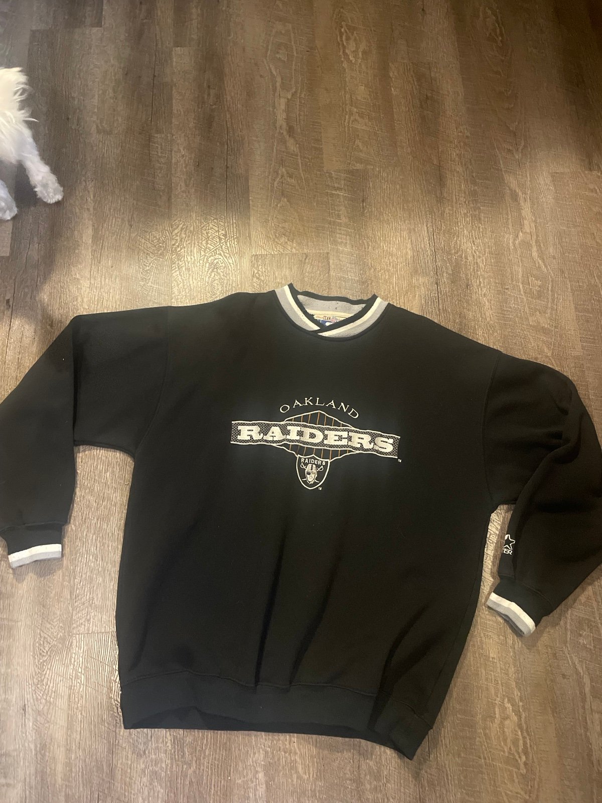 Vintage Oakland Raiders sweatshirt