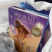 Disney Wings of Starlight by Allison Saft Barnes & Noble Exclusive! IN HANDS