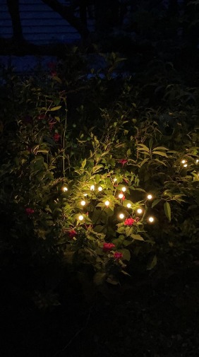 6Pack RGB Color Changing Total 48 LED Solar Garden Lights