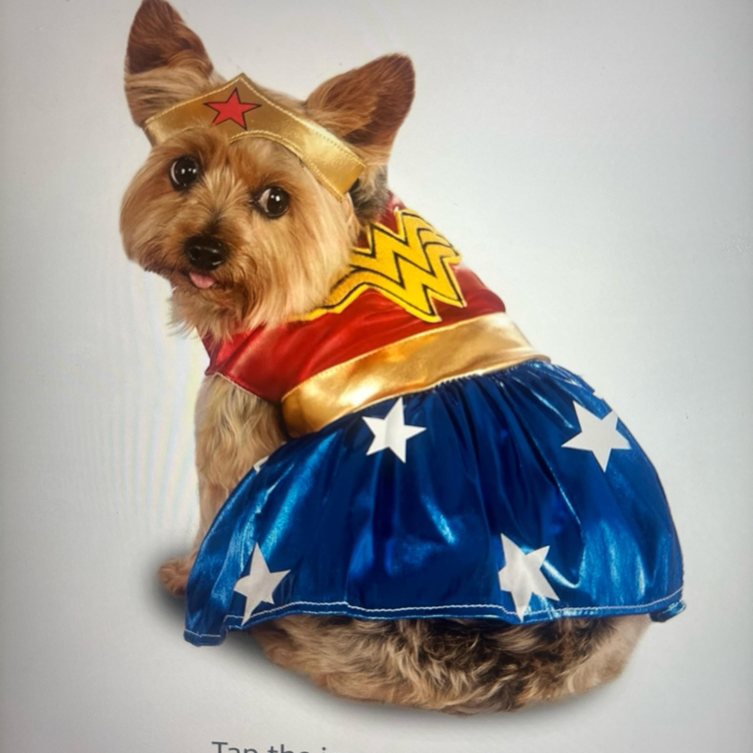Rubie’s DC Wonder Woman Dog Costume