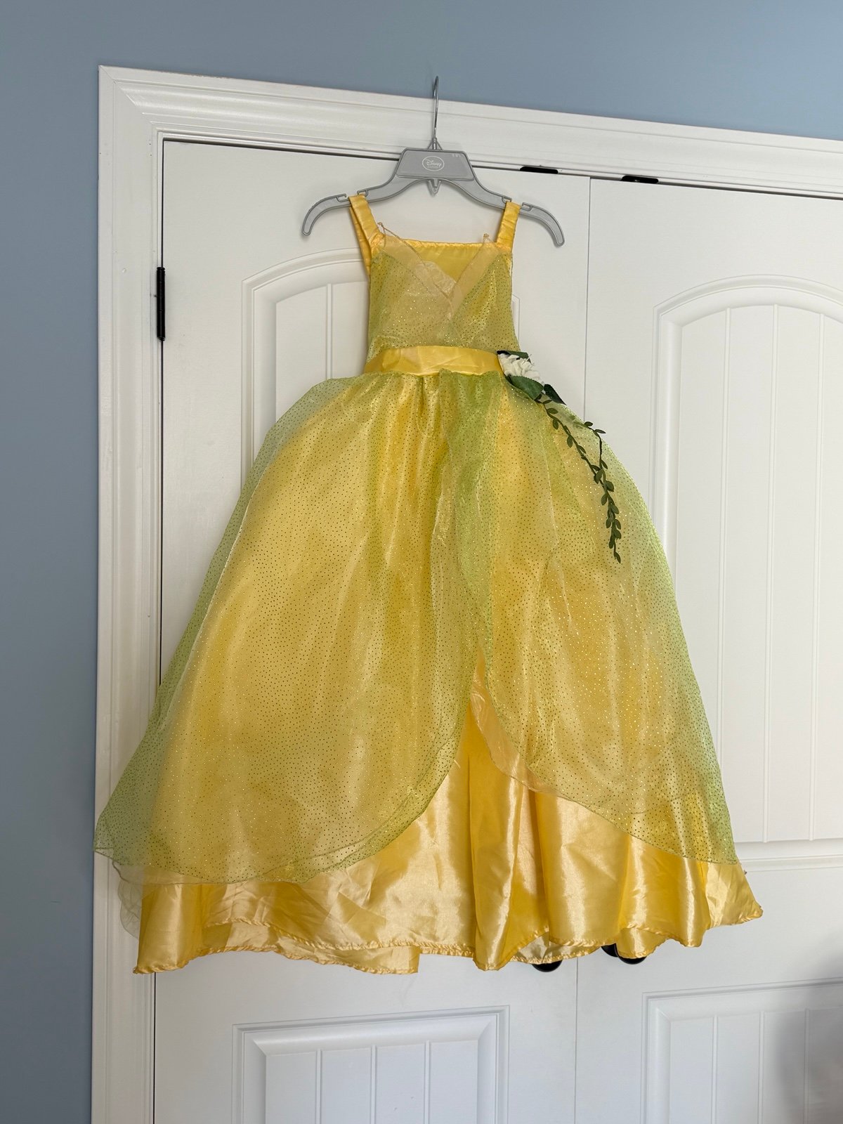 Girl’s Princess Dress