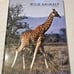 Wild Animals - Extra Large Hardcover By Hook, Patrick - Fair Condition