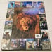 Wild Animals - Extra Large Hardcover By Hook, Patrick - Fair Condition