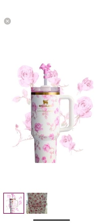 LOVESHACKFANCY Stanley Quencher 40oz