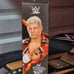 WWE Cody Rhodes Ultimate Edition Figure