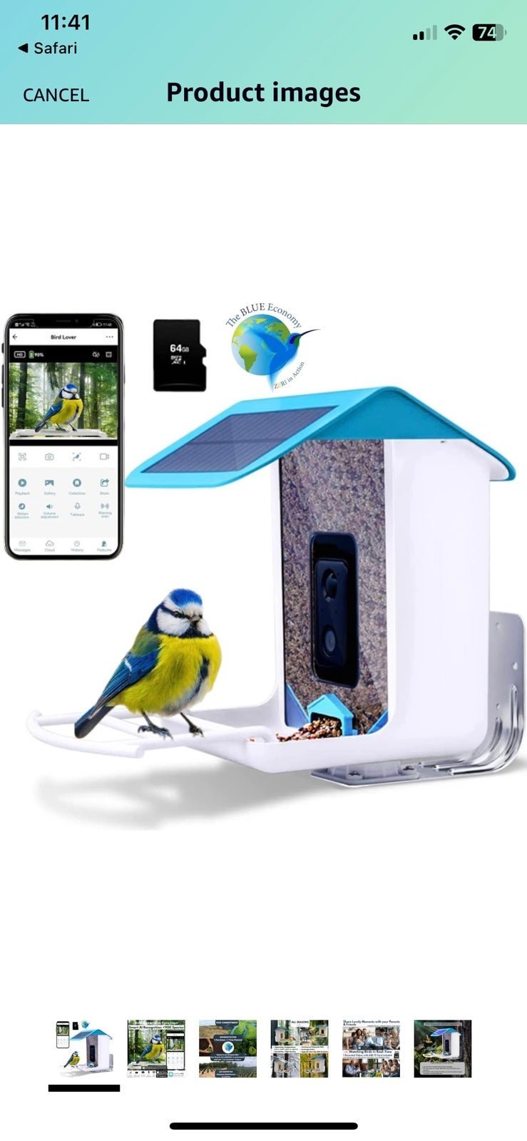 Bird Chickadees Feeder Video Camera