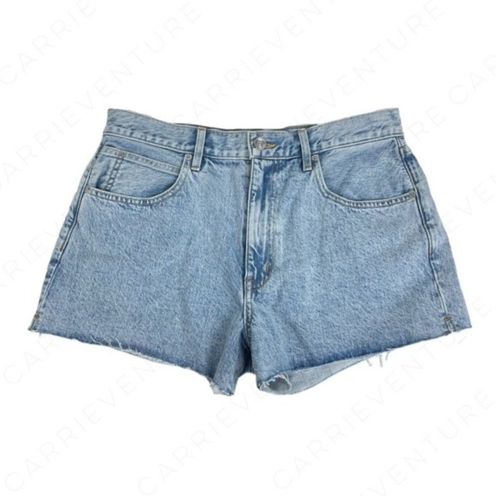 SLVRLAKE Farrah Short High Rise Jean Shorts Time Worn Wash Light Blue Cutoff 30