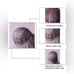 New Ombré Light Grey Hair Wig