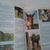 The Horse Encyclopedia HC Josee Hermsen Firefly Books 2001 2nd print
