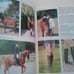 The Horse Encyclopedia HC Josee Hermsen Firefly Books 2001 2nd print