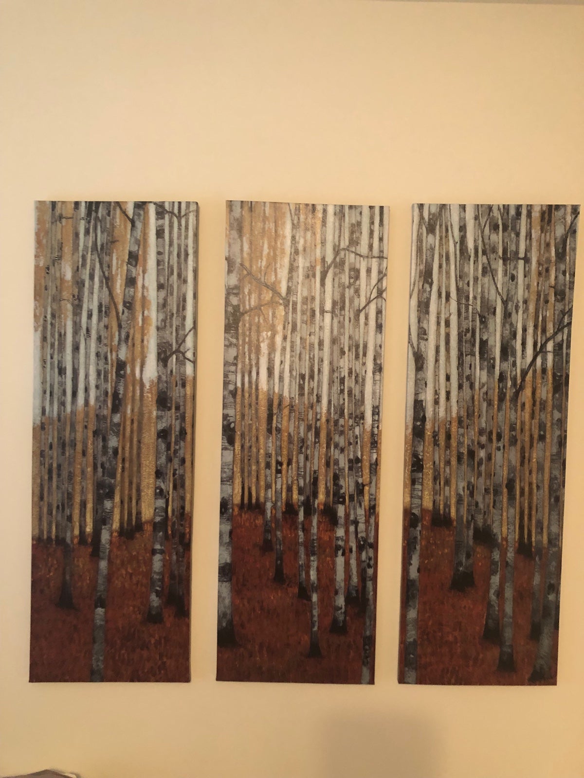 Trio of wall hanging pictures