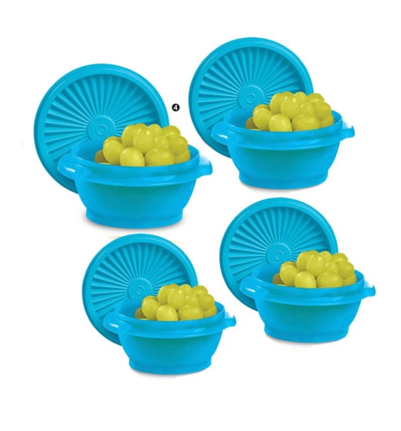 Zervavier Set of 4 Blue Tupperware