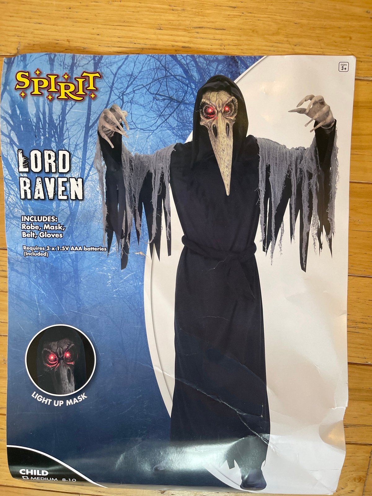 Lord Raven Child Halloween Costume