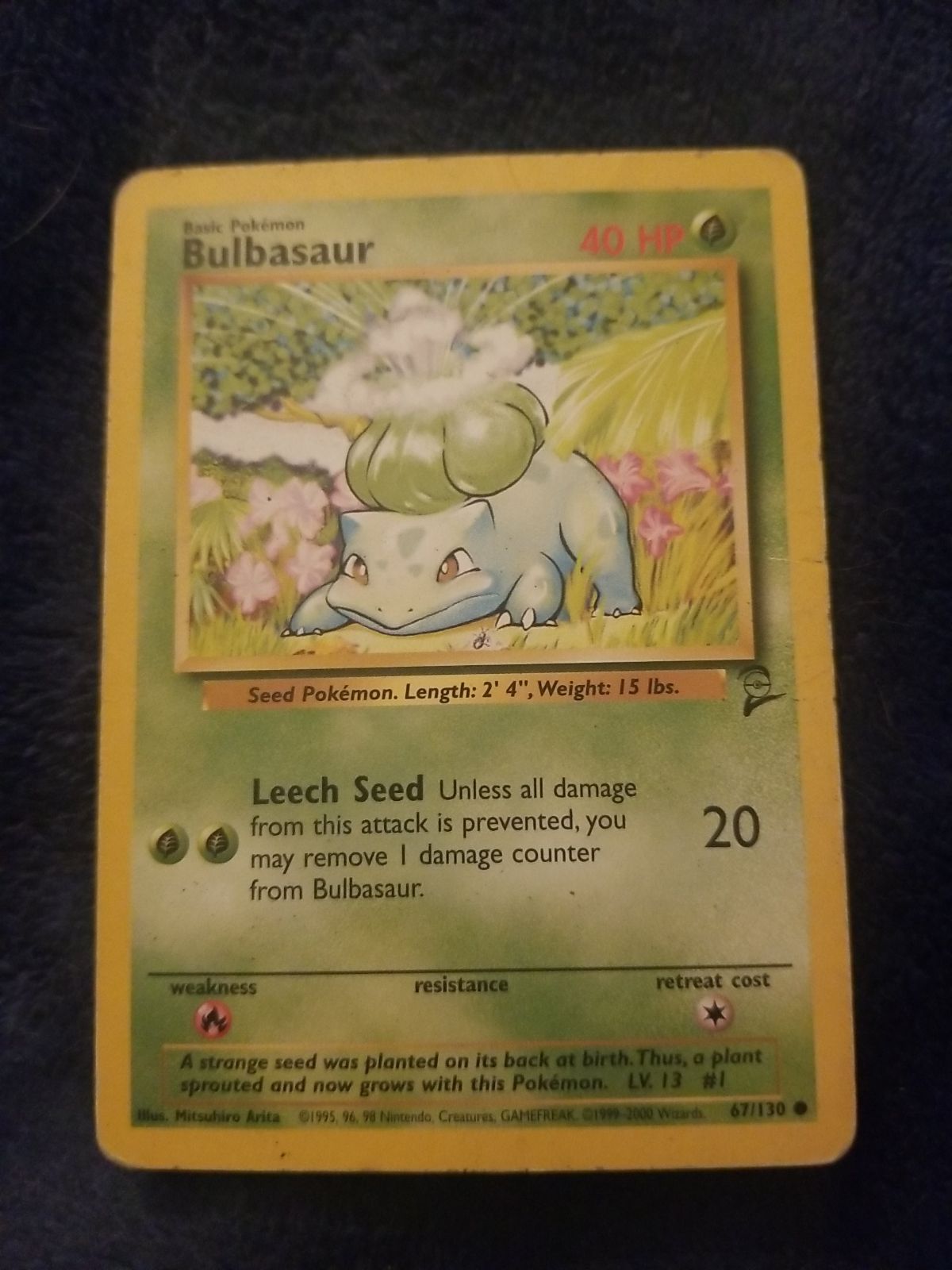 Bulbasaur woc