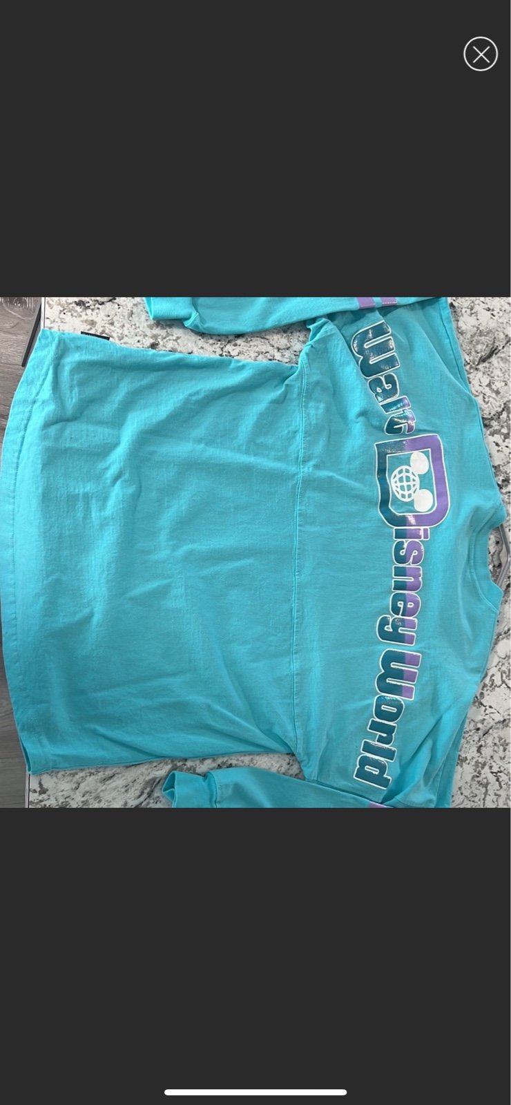 Disney world spirit jersey