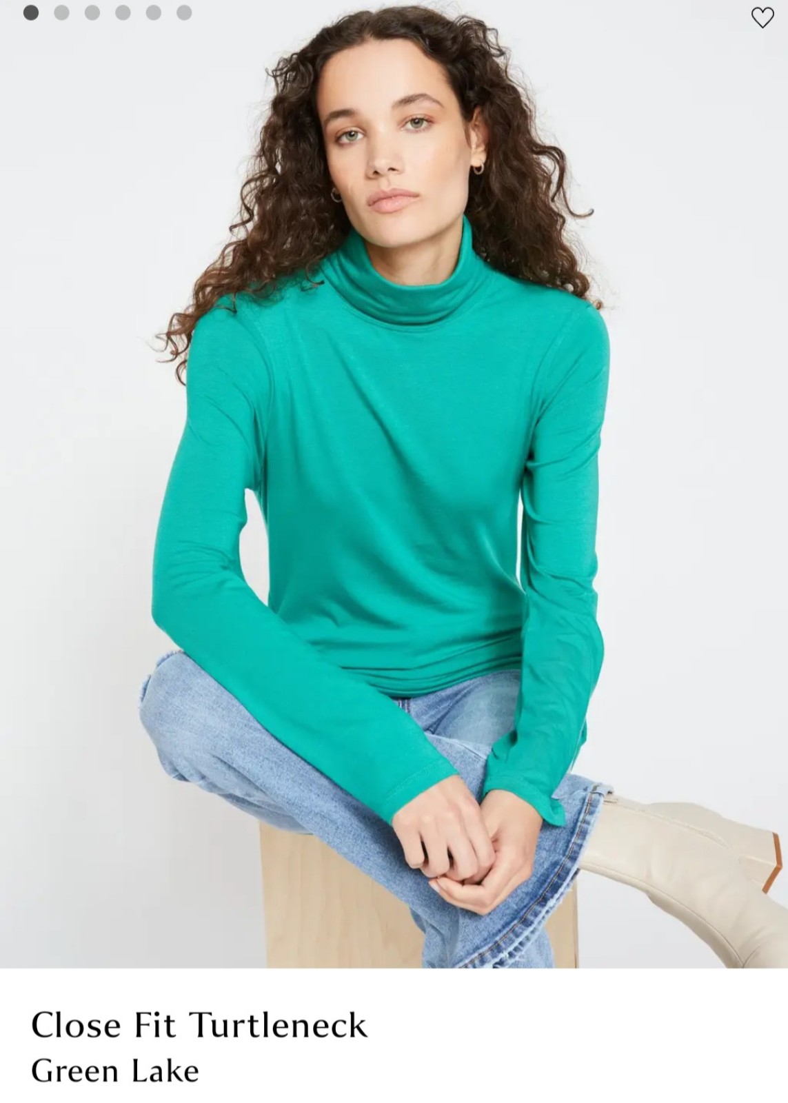 Universal Standard Close Fit Turtleneck 2XS