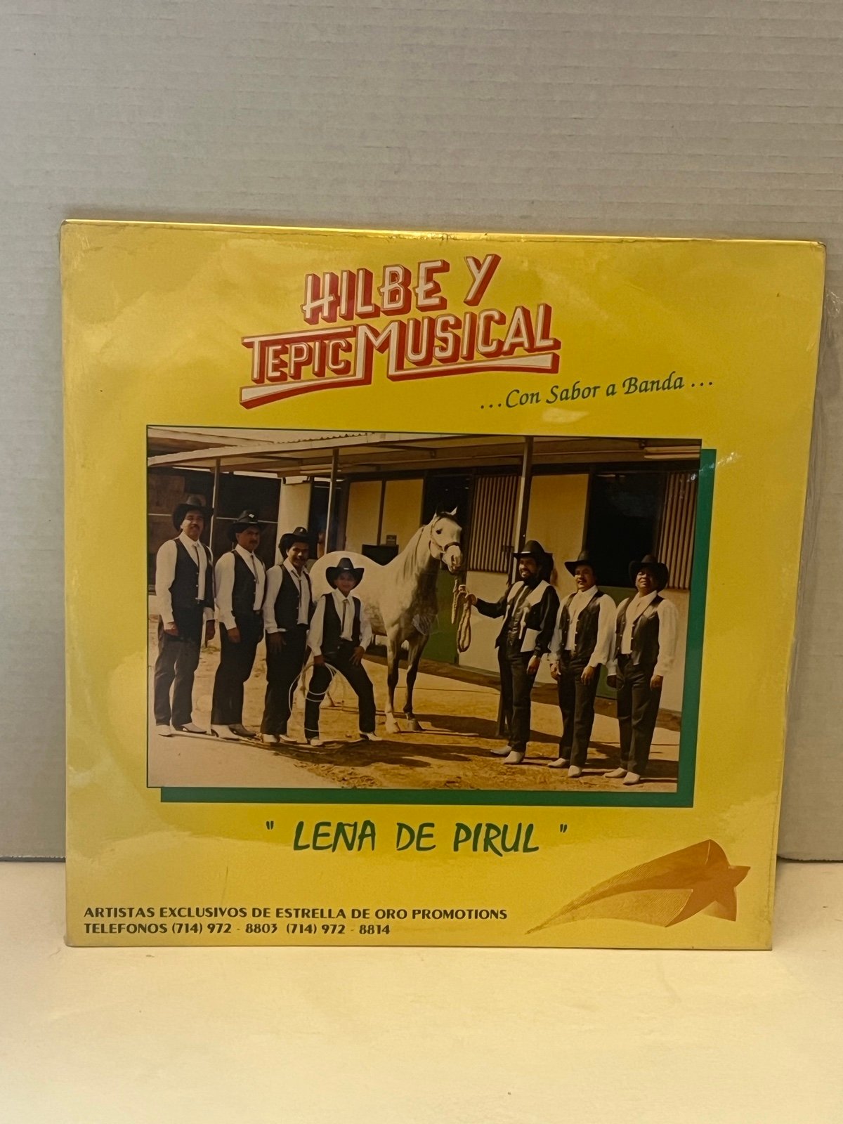 Hilbe y Tepic Musical - … Con Sabor de Banda: Lena de Pirul (Record, 1991) vinyl