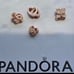 Pandora Charm Bundle