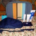 NWT KLM JANTAMINIAU AIRLINES BUSINESS CLASS TOILETRY KIT