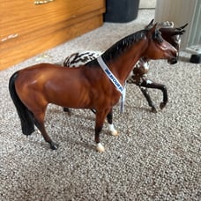 Breyer