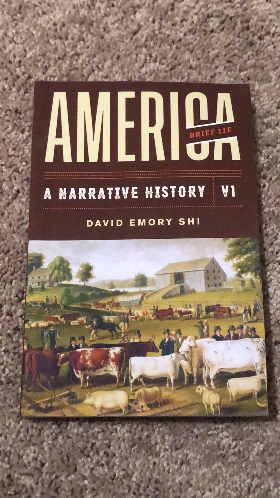 America A Narrative History Vol 2