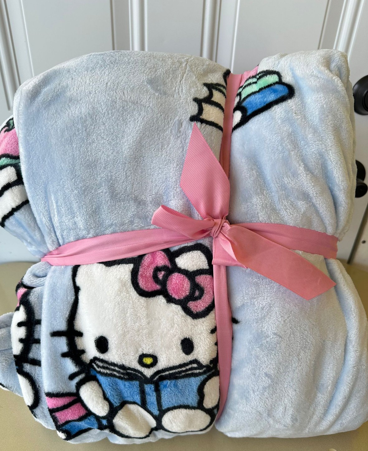 Hello Kitty Back to School Apple and Books Queen Plush Blanket