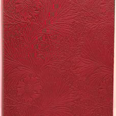 ESV Single Column Journaling Bible (Raspberry, Floral Design) 9781433577673
