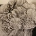 FRYE Luxe Faux Fur Throw Size 70”x 60” new