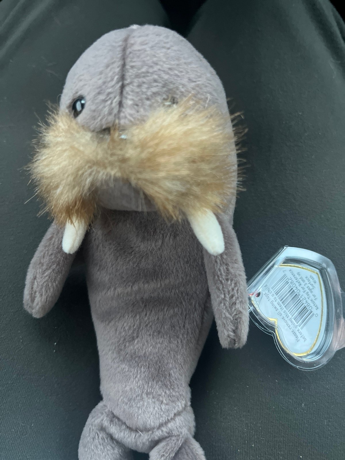 Rare retired jolly the walrus beanie baby