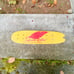 Scotch Shrunk Skateboard
