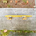 Scotch Shrunk Skateboard