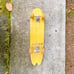 Scotch Shrunk Skateboard