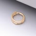 Pure24K Implant Grade Titanium Double Hoop Single Lined Sparkle Clicker - 8mm