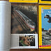National Geographic 1969 Set Of 12 Issues Vintage