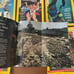 National Geographic 1969 Set Of 12 Issues Vintage