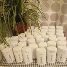 Native Deodorant Bundle of 40