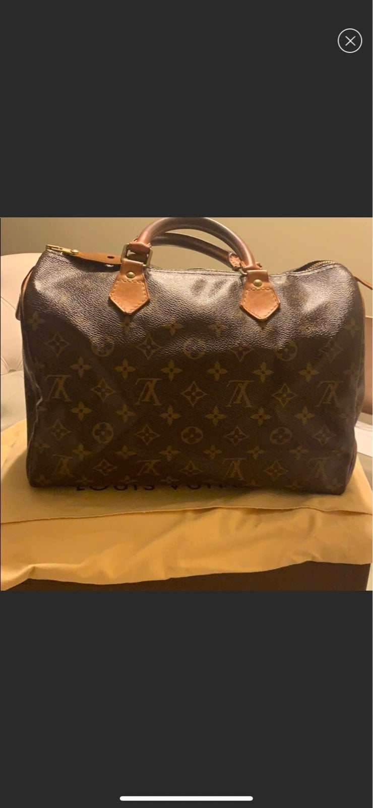 Louis Vuitton Speedy 30