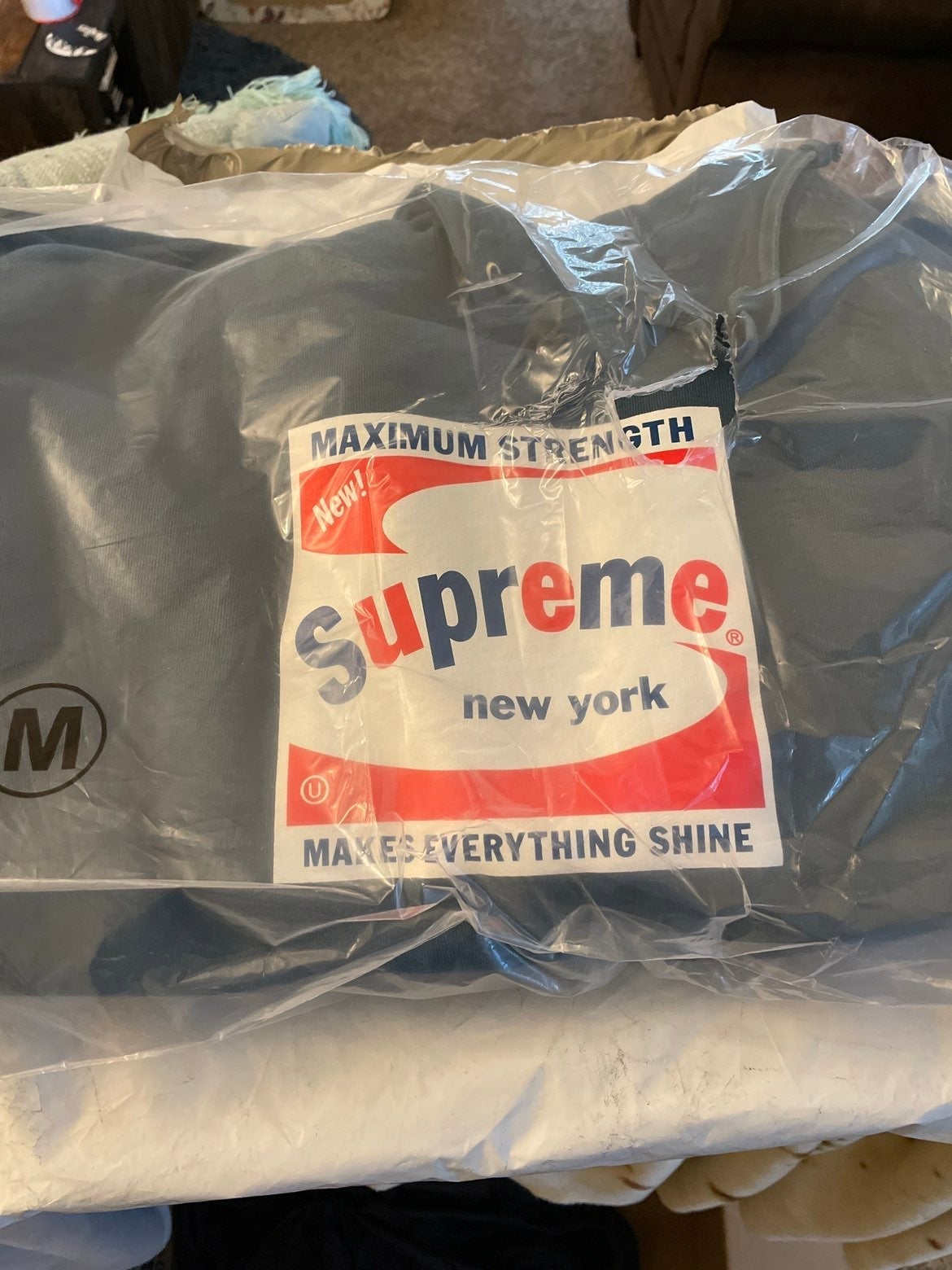 Supreme Shine Hooded Sweatshirt Slate