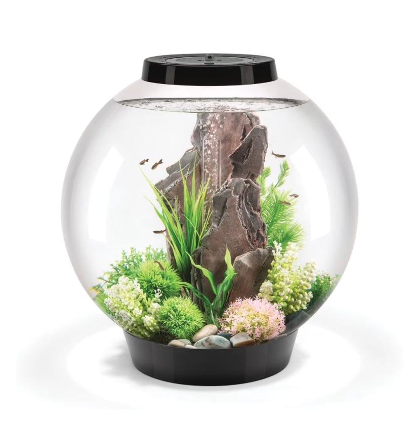 biOrb Classic LED Aquarium, Fish Tank, Black 16-gal Freshwater