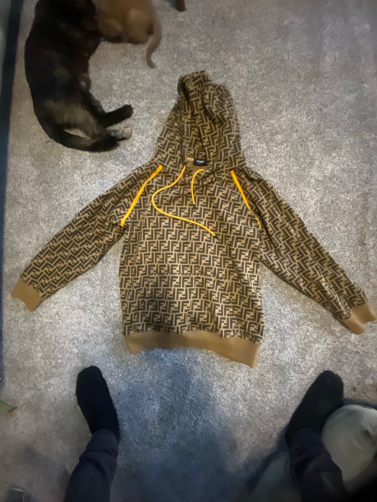 Fendi hoodie