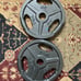 35lb Plate Weight Set