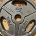 35lb Plate Weight Set