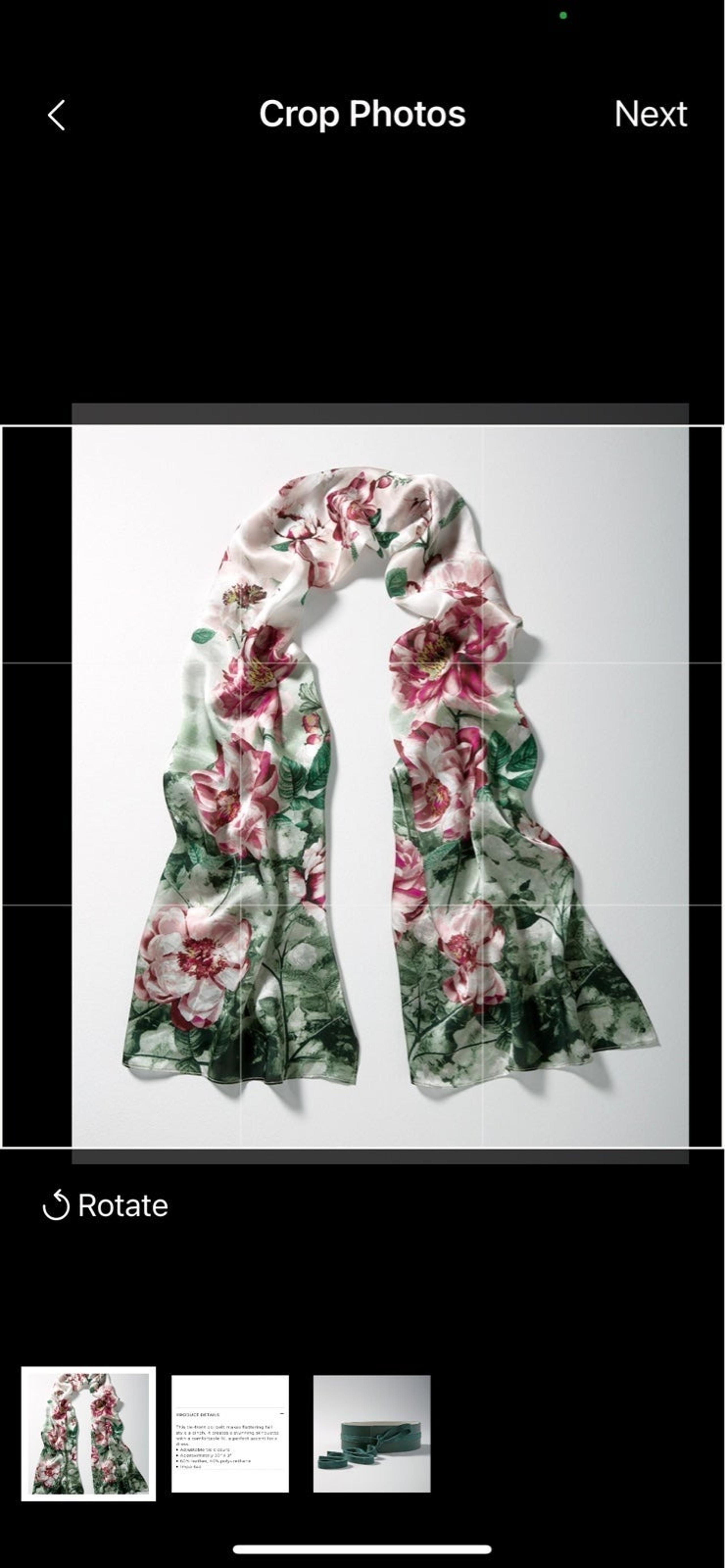 White House Black Market scarf