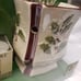 Yankee Candle Sparkling Pine Warmer Set