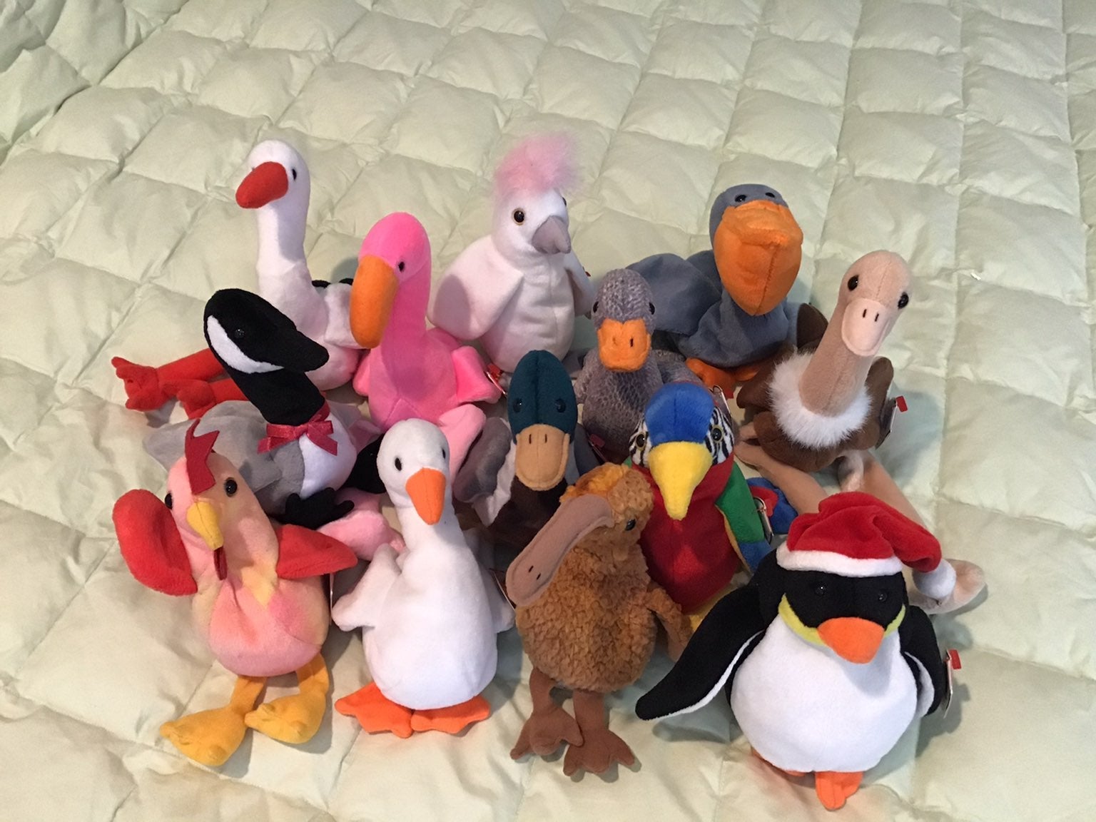 13 Ty beanie babies original Birds