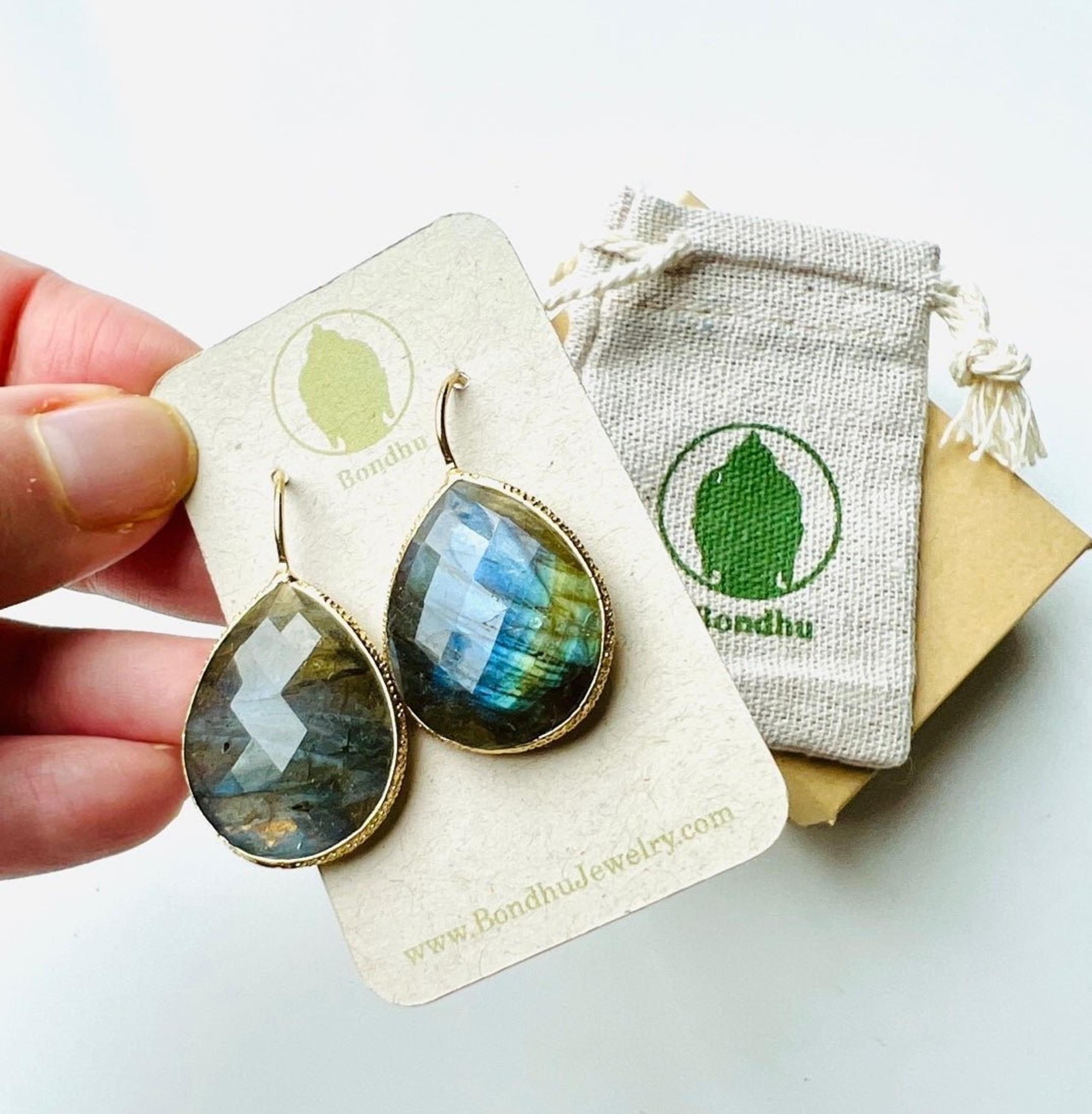 Labradorite 14K Gold Hook Earrings
