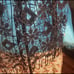 Vintage Beaded Shawl/Wrap
