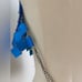 Rhombic Blue Squared Sequin Glisten Halter Top