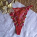 VS ORANGE NET EMBROIDERED THONGS – NWOT